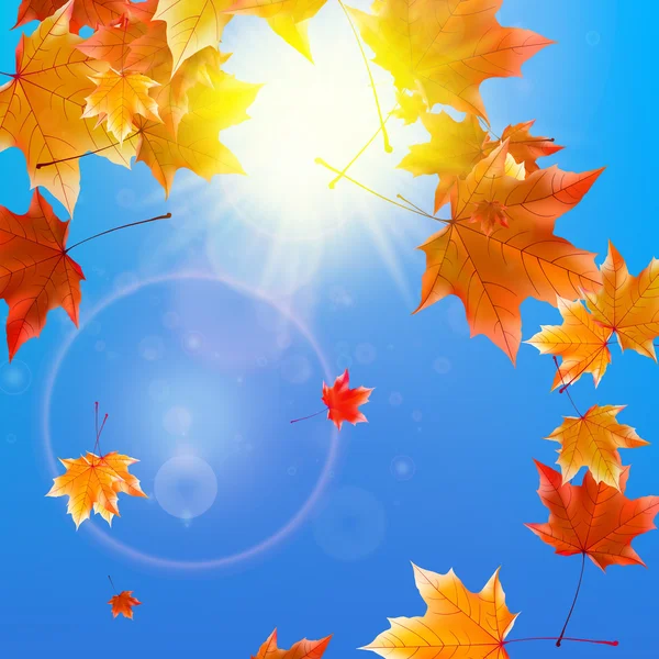 Délicat soleil d'automne avec éblouissement sur ciel bleu . — Image vectorielle