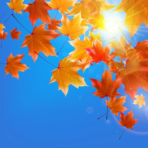 Délicat soleil d'automne avec éblouissement sur ciel bleu . — Image vectorielle