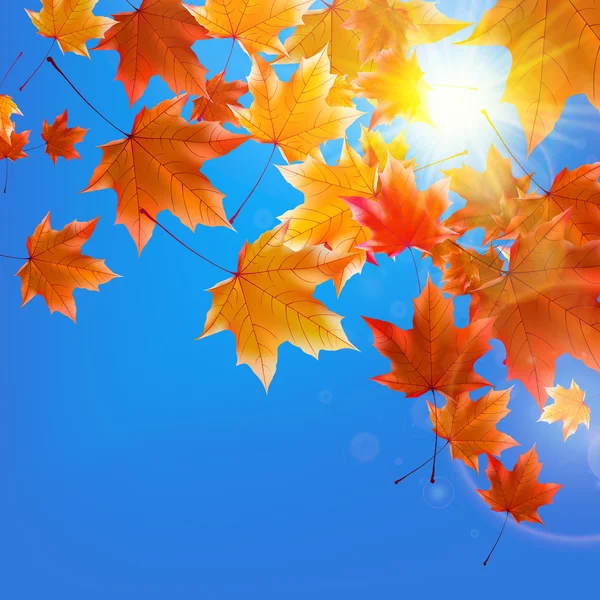 Delicate autumn sun with glare on blue sky. — Stock Vector