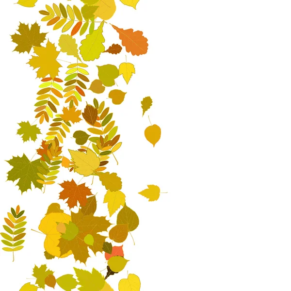 Autumn background with colorful leaves. — Stock Vector