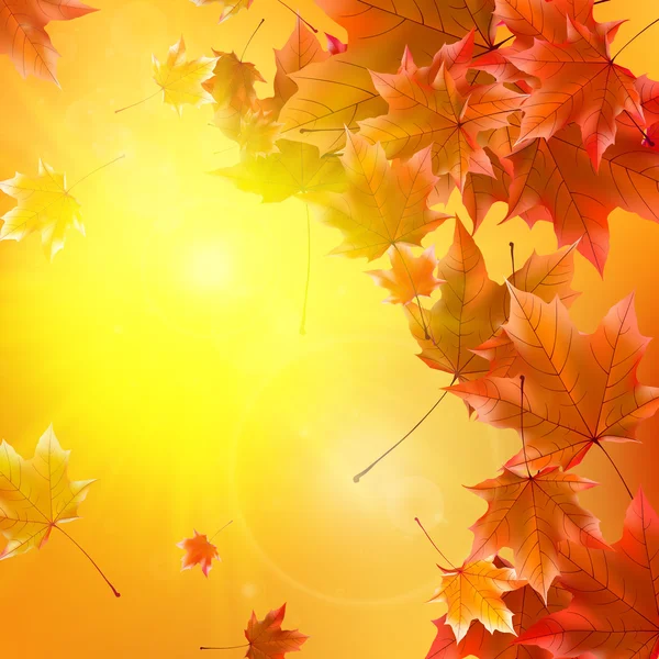 Délicat soleil d'automne avec éblouissement sur ciel doré . — Image vectorielle