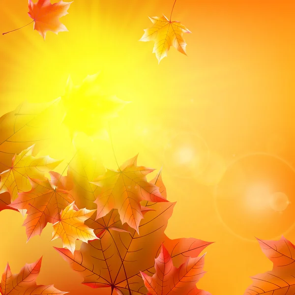 微妙秋日的阳光与金天空上眩光. — 图库矢量图片