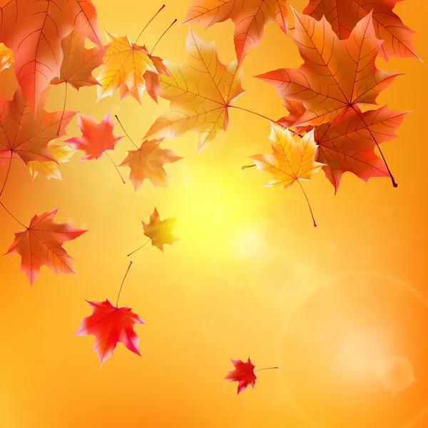 Délicat soleil d'automne avec éblouissement sur ciel doré . — Image vectorielle