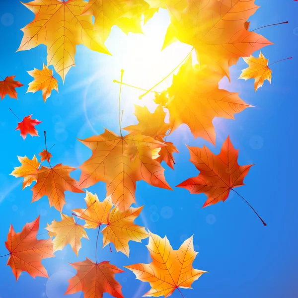 Delicate autumn sun with glare on blue sky. — Stock Vector