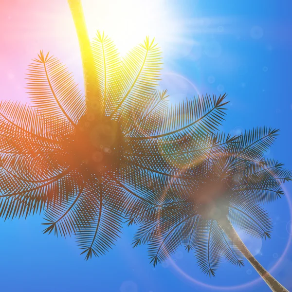 Palmeras y sol en el cielo . — Vector de stock