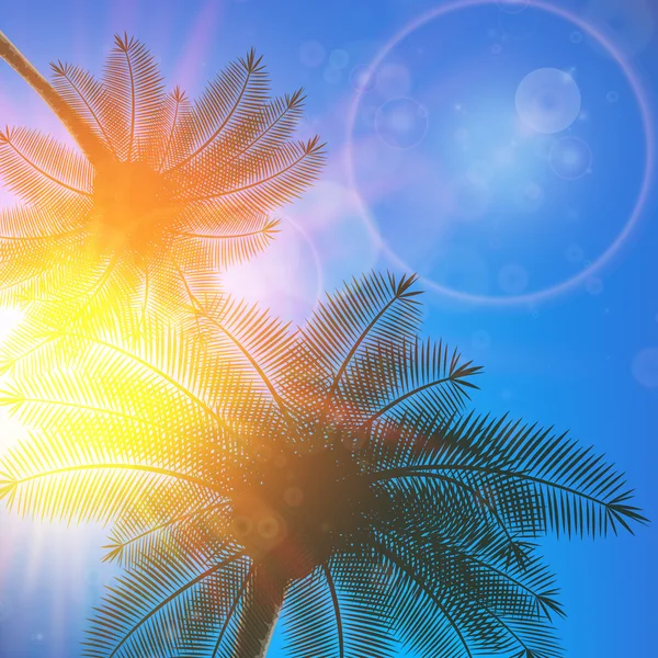 Palmen und Sonne am Himmel. — Stockvektor