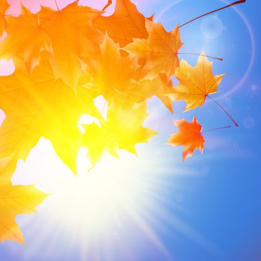 Mavi gökyüzü üzerinde parlama ile hassas Sonbahar Paz.