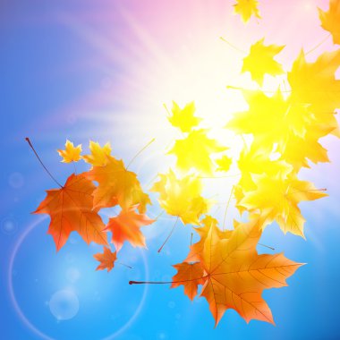 Mavi gökyüzü üzerinde parlama ile hassas Sonbahar Paz.