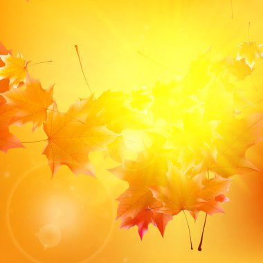 narin Sonbahar Paz altın gökyüzü üzerinde parlama ile.