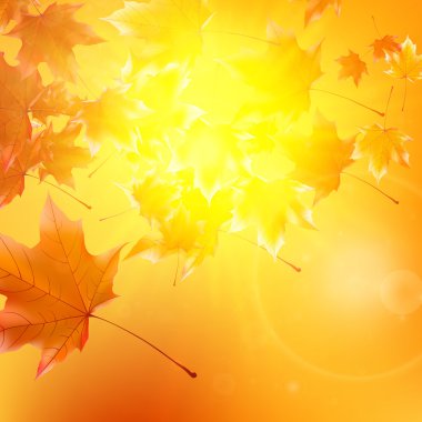 narin Sonbahar Paz altın gökyüzü üzerinde parlama ile.