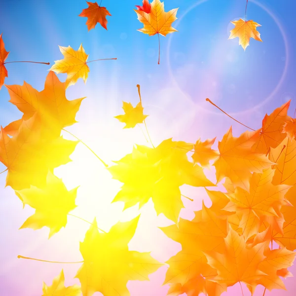 Mavi gökyüzü üzerinde parlama ile hassas Sonbahar Paz.