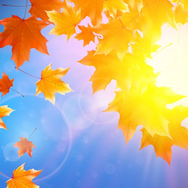 Delicate autumn sun with glare on blue sky. — Stock Vector