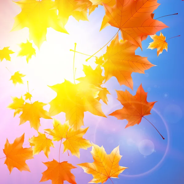 Mavi gökyüzü üzerinde parlama ile hassas Sonbahar Paz.