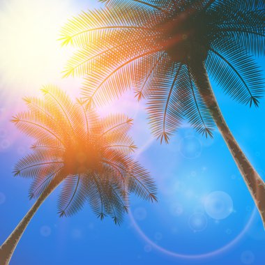 arka plan mavi gökyüzü ile yaz güneş patlaması.