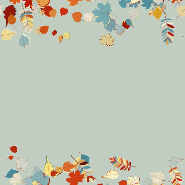 Beautiful autumn Leaves. — Stock Vector