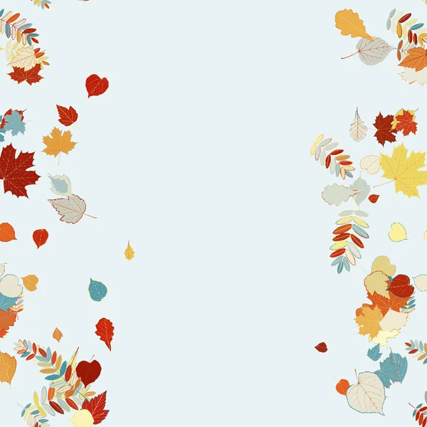 Krásné podzimní listí. — Stockový vektor
