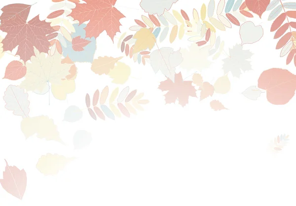 秋天的树叶落及纺纱白色衬底上. — 图库矢量图片