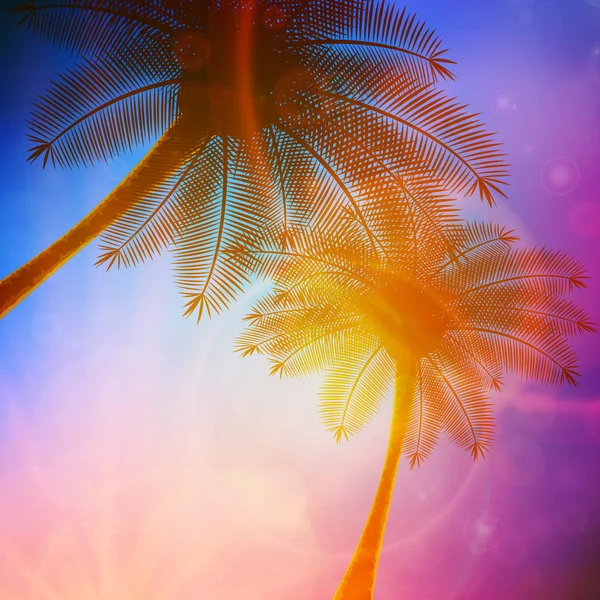 Palmy s krásný západ slunce. — Stockový vektor