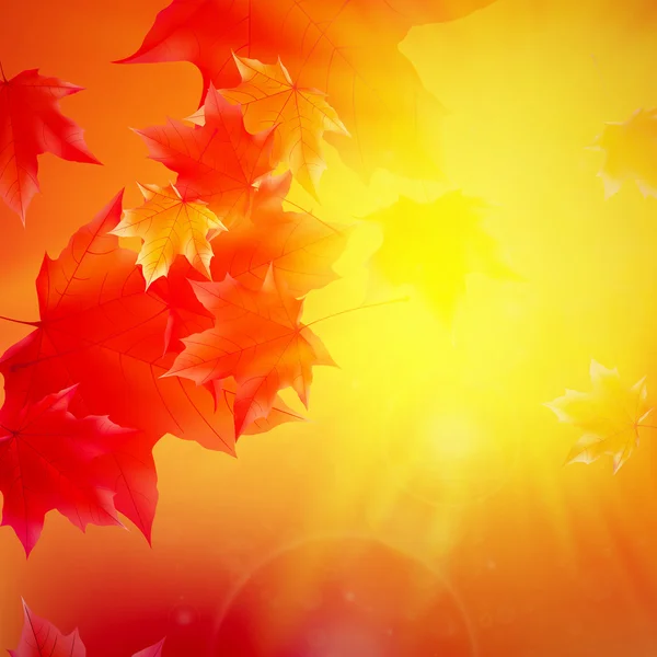金空のまぶしさと繊細な秋の太陽. — ストックベクタ