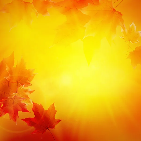Delicado sol de otoño con resplandor en el cielo dorado . — Archivo Imágenes Vectoriales