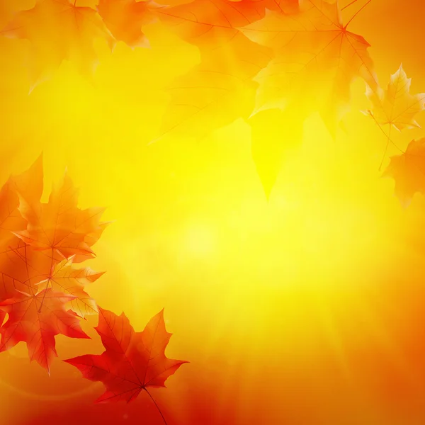 Délicat soleil d'automne avec éblouissement sur ciel doré . — Image vectorielle