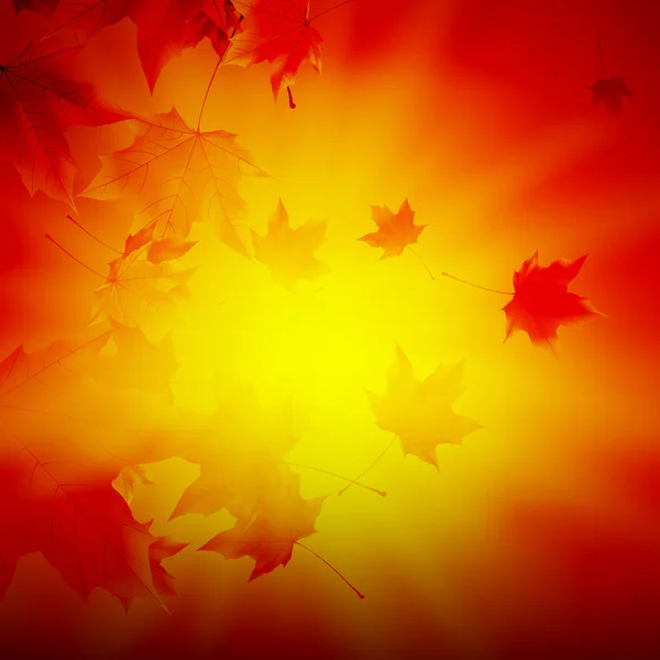 Sol de outono delicado com brilho no céu dourado . —  Vetores de Stock