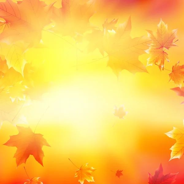 微妙秋日的阳光与金天空上眩光. — 图库矢量图片