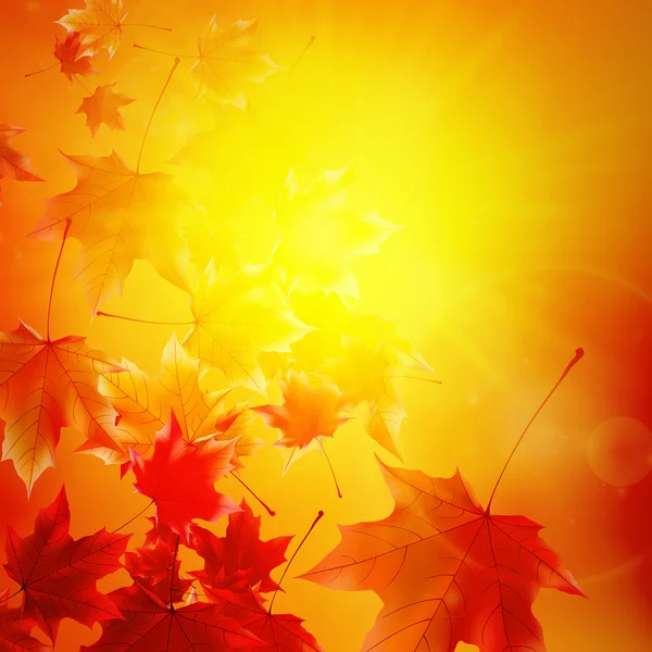 Tükröződés arany ég a kényes őszi nap. — Stock Vector