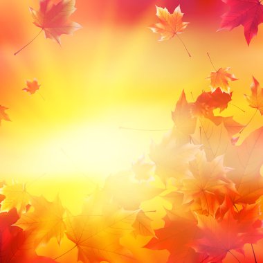 narin Sonbahar Paz altın gökyüzü üzerinde parlama ile.