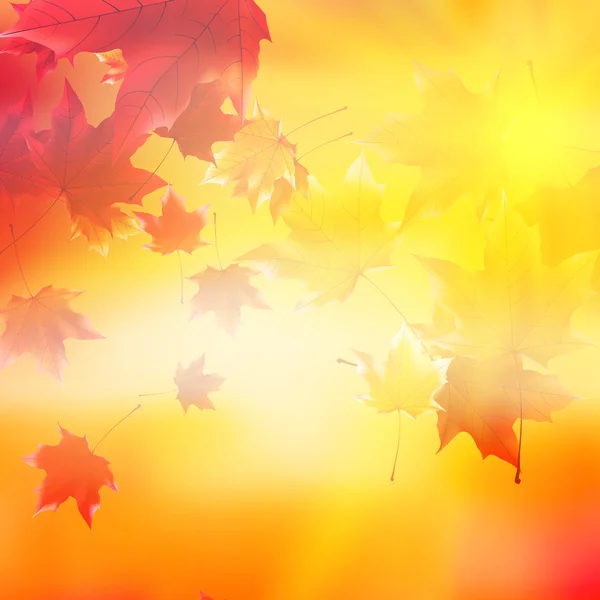 Delicado sol de otoño con resplandor en el cielo dorado . — Vector de stock