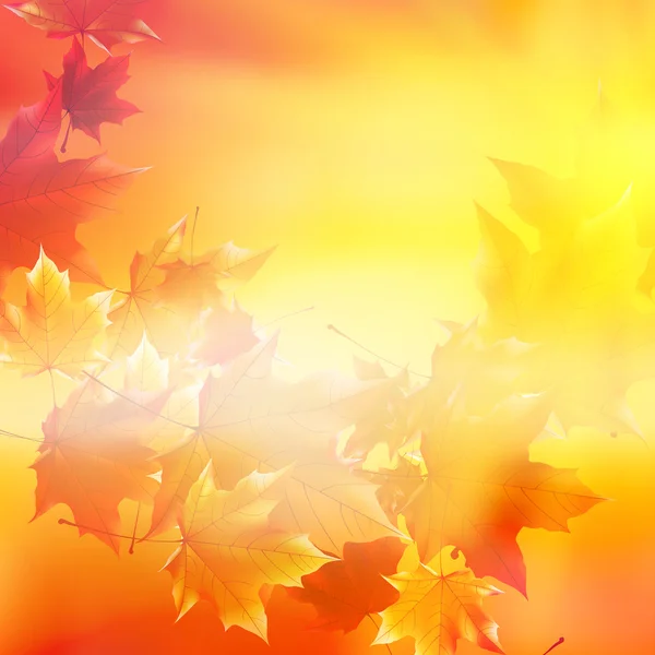 Sol de outono delicado com brilho no céu dourado . —  Vetores de Stock