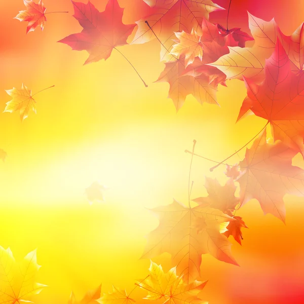Sol de outono delicado com brilho no céu dourado . — Vetor de Stock