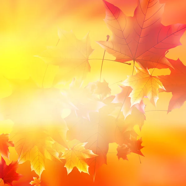 Λεπτή φθινόπωρο ήλιο με έντονο φως στο χρυσό ουρανό. — Διανυσματικό Αρχείο