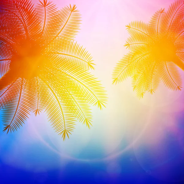 Palmeras con hermoso atardecer . — Vector de stock