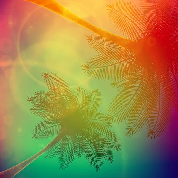 Palmen mit schönem Sonnenuntergang. — Stockvektor