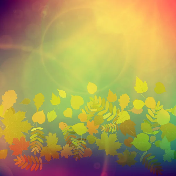 Automne Feuilles rouges et jaunes colorées . — Image vectorielle