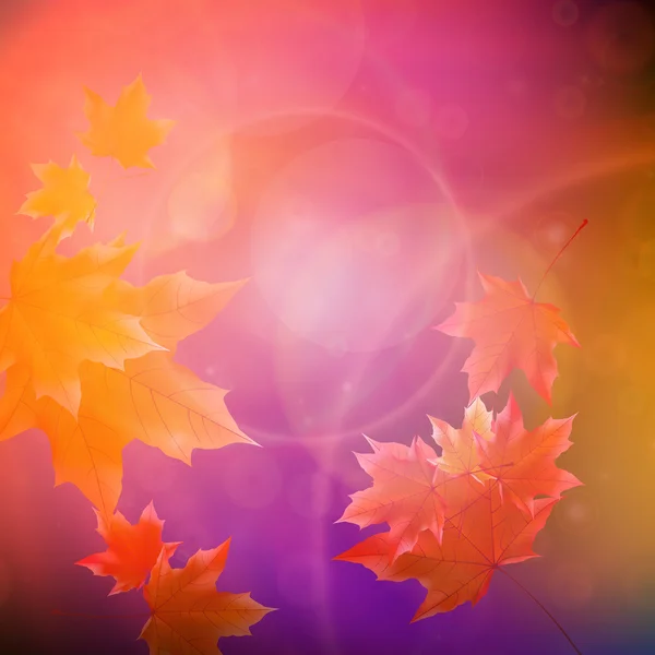 Mooie Herfstbladeren. — Stockvector