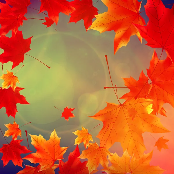 Красивые осенние листья . — стоковый вектор