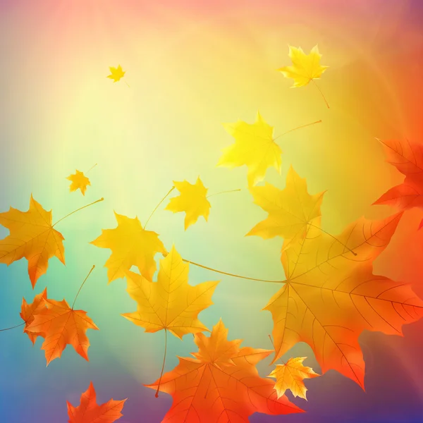 Belles feuilles d'automne . — Image vectorielle