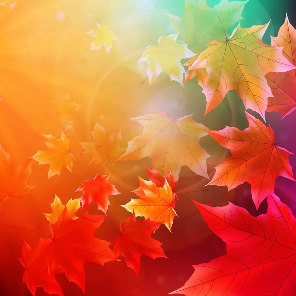 Hermosas hojas de otoño . — Archivo Imágenes Vectoriales