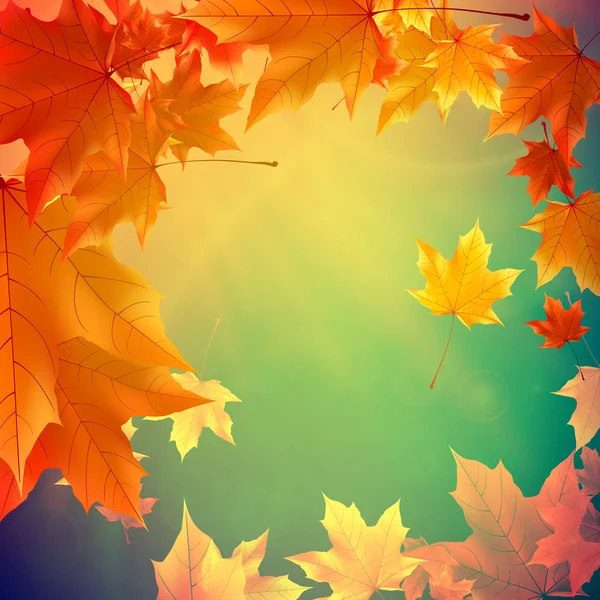 Hermosas hojas de otoño . — Vector de stock