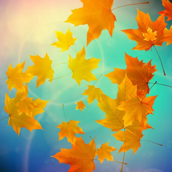 Belle foglie d'autunno . — Vettoriale Stock