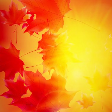 narin Sonbahar Paz altın gökyüzü üzerinde parlama ile.