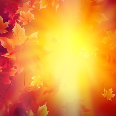 narin Sonbahar Paz altın gökyüzü üzerinde parlama ile.