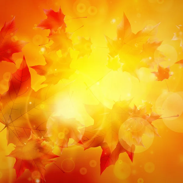 Delicado sol de otoño con resplandor en el cielo dorado . — Vector de stock