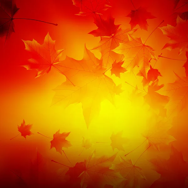 Delikátní podzimní slunce s odlesky zlata nebe. — Stockový vektor