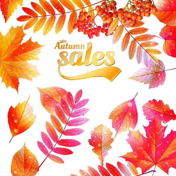 Autumn Calligraphy sale on detailed leafs. — Stock Vector
