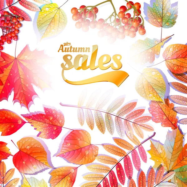 Autumn Calligraphy sale on detailed leafs. — Stock Vector