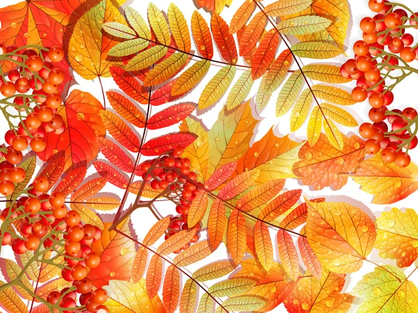 Grupo multicilor otoño hojas en blanco . — Archivo Imágenes Vectoriales