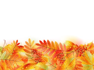 Yapraklı sonbahar arkaplanı. Okula geri dön..